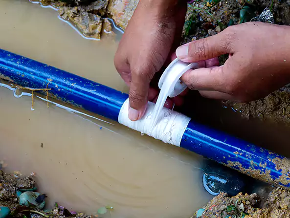  Why Choose Hollywood Plumbing Pro for Leak Detection in Hollywood, FL?]