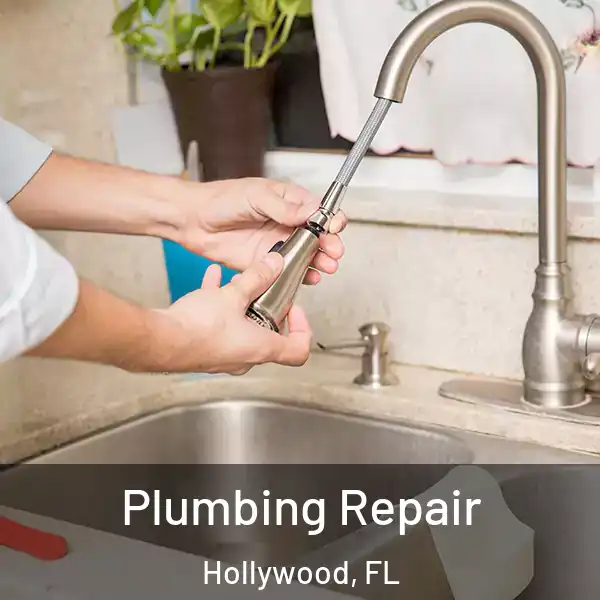  Plumbing Repair Hollywood, FL